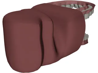 Mouth 3D Model preview