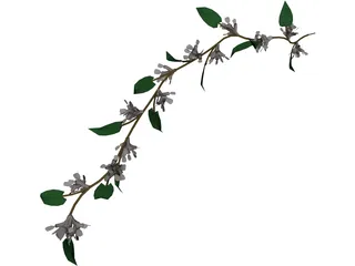Wine Plant 3D Model preview