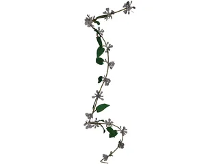 Wine Plant 3D Model preview