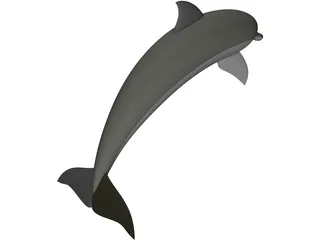 Dolphin 3D Model preview