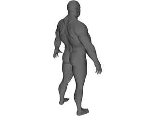 Man 3D Model preview