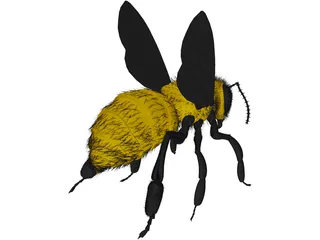 Bee with Fur 3D Model preview