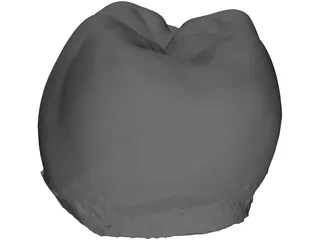Molar Tooth 3D Model preview