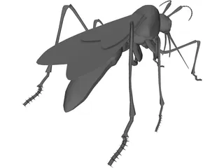 Mosquito 3D Model preview