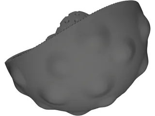 Animal Cell 3D Model preview