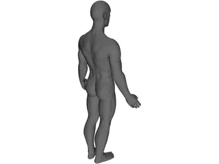 Man 3D Model preview