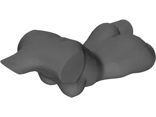 Female Torso 3D Model preview