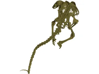 Skeleton Prehistoric 3D Model preview