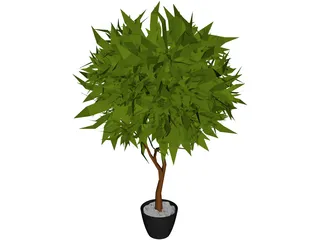 Ash Tree 3D Model preview
