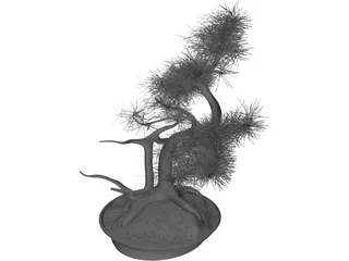 Bonsai Tree 3D Model preview