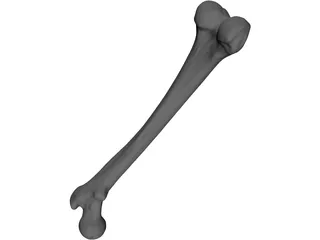 Femur Bone 3D Model preview