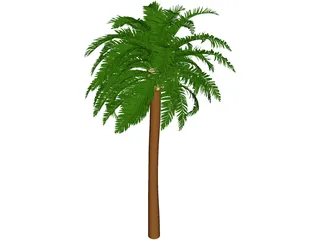 Coconut Tree 3D Model preview