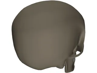 Skull Male 3D Model preview