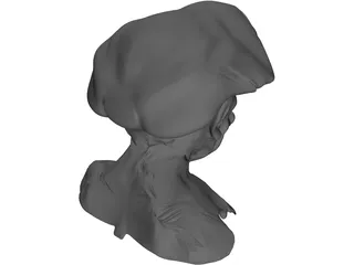 Peasant 3D Model preview