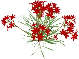 Flower 3D Model preview
