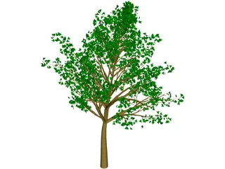 Tree 3D Model preview
