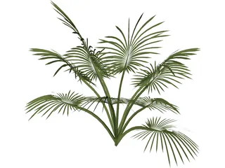 Tree 3D Model preview