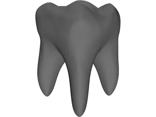 Tooth 3D Model preview
