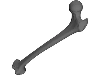Femur Bone 3D Model preview