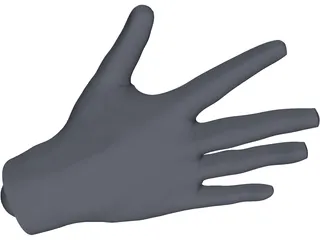 Human Hand 3D Model preview