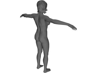 Female Anatomy Complete 3D Model preview