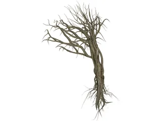 Dry Old Tree 3D Model preview