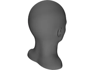 Human Head and Neck 3D Model preview