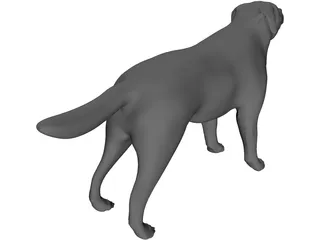 Dog 3D Model preview