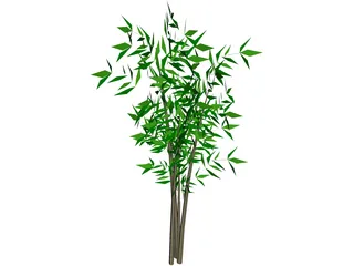 Bamboo Tree 3D Model preview