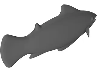 Salmon 3D Model preview