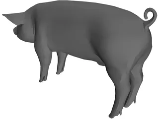 Pig 3D Model preview