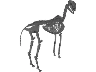 Horse Skeleton 3D Model preview