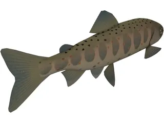 Amago 3D Model preview