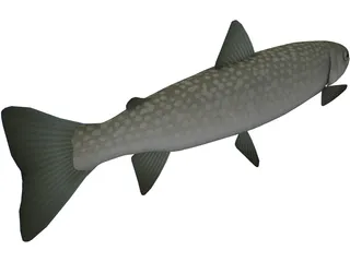 Amemasu 3D Model preview