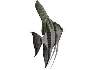 Angel 3D Model preview
