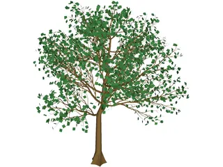 Arboli Tree 3D Model preview