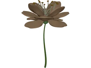 Camellialike 3D Model preview