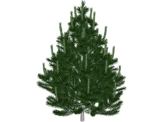 Pine Tree 3D Model preview