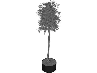 Arbol Tree 3D Model preview