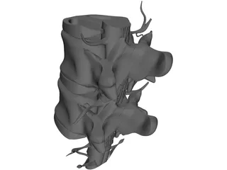 Lumbar Vertebrae 3D Model preview