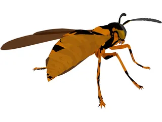 Wasp 3D Model preview