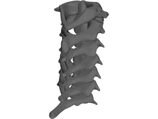 Vertebrae Cervical Bones 3D Model preview
