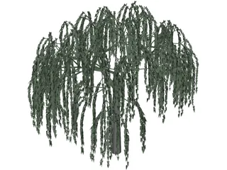 Willow Tree 3D Model preview