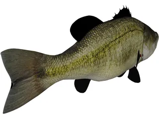 Largemouth Bass 3D Model preview