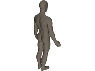 Human 3D Model preview