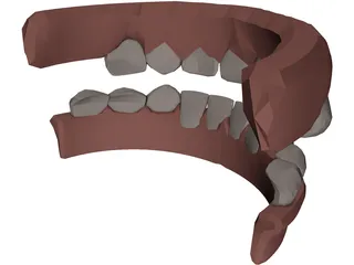 Jaw and Teeth 3D Model preview