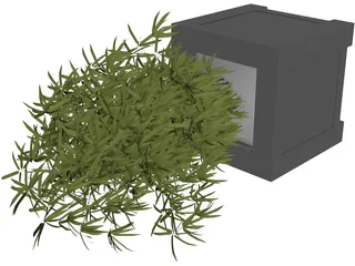 Bamboo Plant 3D Model preview