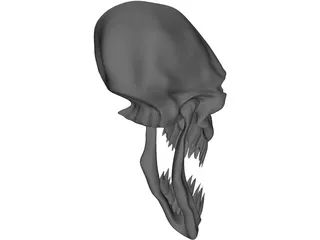 Monster Skull 3D Model preview