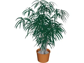Indoor Plant 3D Model preview