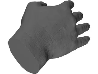 Right Hand Male 3D Model preview
